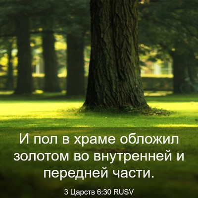 Picture 03 - 3 Царств 6:30 RUSV - И пол в храме обложил - Bible Verse Picture