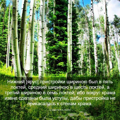 Picture 03 - 3 Царств 6:6 RUSV - Нижний [ярус] пристройки - Bible Verse Picture