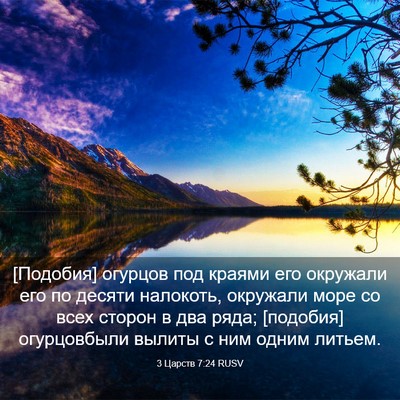 Picture 03 - 3 Царств 7:24 RUSV - [Подобия] огурцов под - Bible Verse Picture