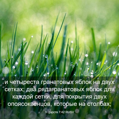 Picture 03 - 3 Царств 7:42 RUSV - и четыреста гранатовых - Bible Verse Picture