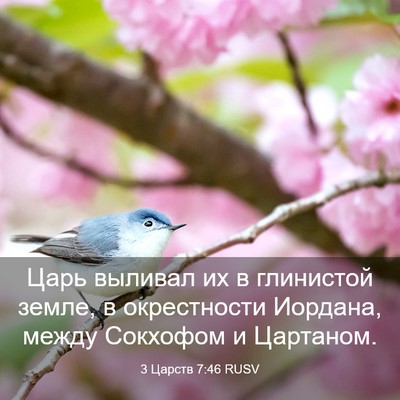 Picture 03 - 3 Царств 7:46 RUSV - Царь выливал их в - Bible Verse Picture