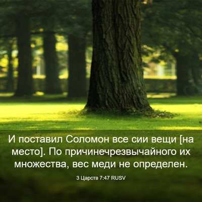 Picture 03 - 3 Царств 7:47 RUSV - И поставил Соломон все сии - Bible Verse Picture