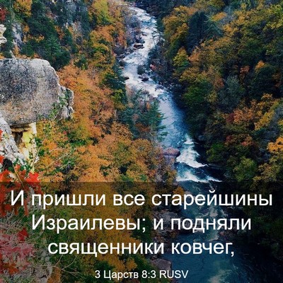 Picture 03 - 3 Царств 8:3 RUSV - И пришли все старейшины - Bible Verse Picture
