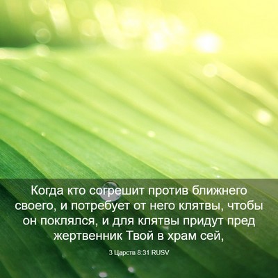 Picture 03 - 3 Царств 8:31 RUSV - Когда кто согрешит против - Bible Verse Picture