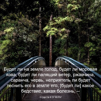 Picture 03 - 3 Царств 8:37 RUSV - Будет ли на земле голод, - Bible Verse Picture