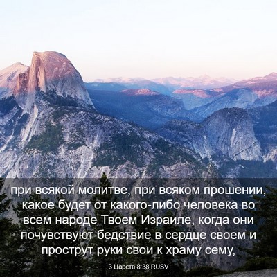 Picture 03 - 3 Царств 8:38 RUSV - при всякой молитве, при - Bible Verse Picture