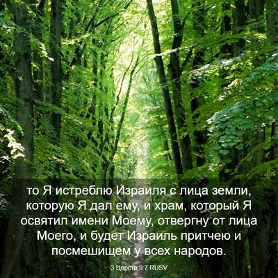 Picture 03 - 3 Царств 9:7 RUSV - то Я истреблю Израиля с - Bible Verse Picture