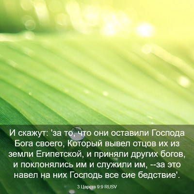 Picture 03 - 3 Царств 9:9 RUSV - И скажут: 'за то, что они - Bible Verse Picture