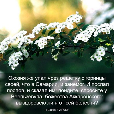 Picture 03 - 4 Царств 1:2 RUSV - Охозия же упал чрез - Bible Verse Picture