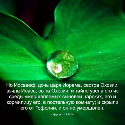 Picture 03 - 4 Царств 11:2 RUSV - Но Иосавеф, дочь царя - Bible Verse Picture