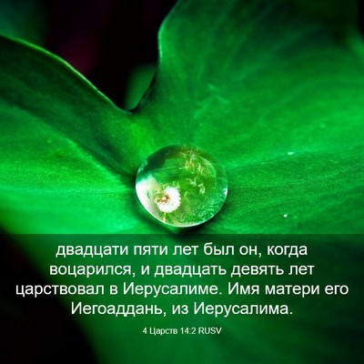 Picture 03 - 4 Царств 14:2 RUSV - двадцати пяти лет был он, - Bible Verse Picture