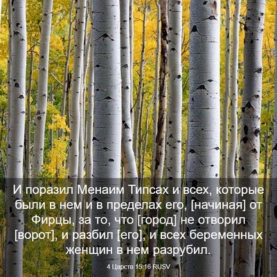 Picture 03 - 4 Царств 15:16 RUSV - И поразил Менаим Типсах и - Bible Verse Picture