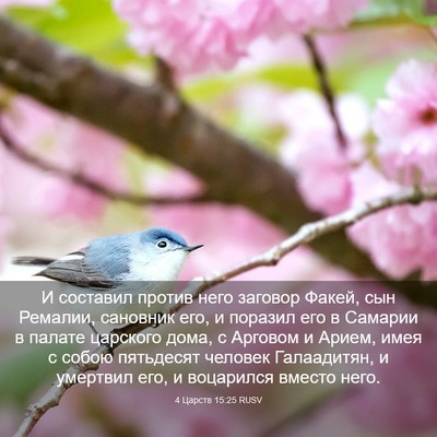 Picture 03 - 4 Царств 15:25 RUSV - И составил против него - Bible Verse Picture