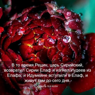Picture 03 - 4 Царств 16:6 RUSV - В то время Рецин, царь - Bible Verse Picture