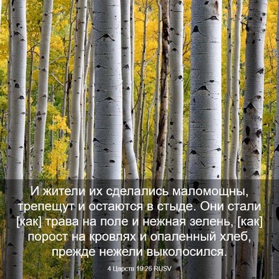 Picture 03 - 4 Царств 19:26 RUSV - И жители их сделались - Bible Verse Picture