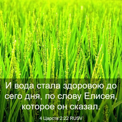 Picture 03 - 4 Царств 2:22 RUSV - И вода стала здоровою до - Bible Verse Picture