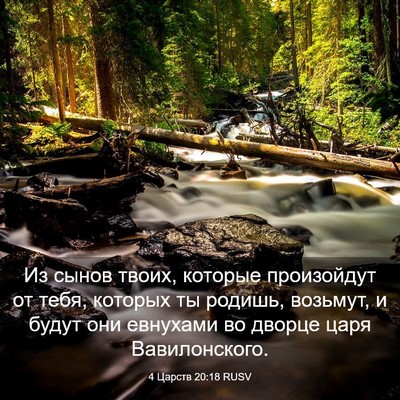 Picture 03 - 4 Царств 20:18 RUSV - Из сынов твоих, которые - Bible Verse Picture