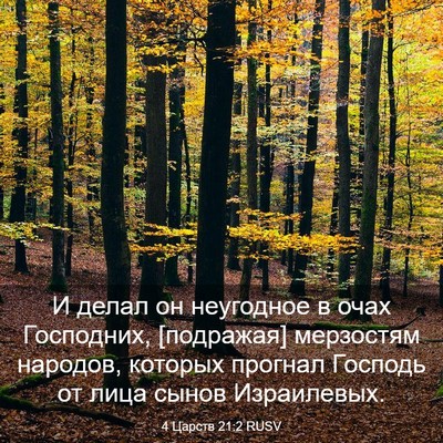 Picture 03 - 4 Царств 21:2 RUSV - И делал он неугодное в очах - Bible Verse Picture