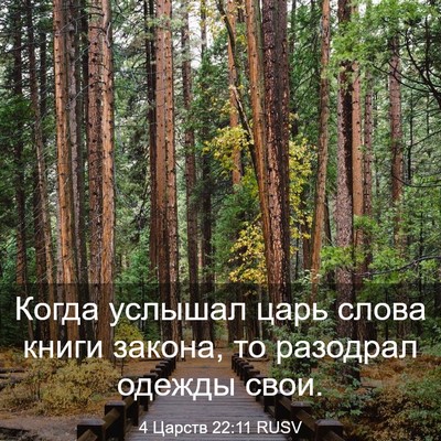 Picture 03 - 4 Царств 22:11 RUSV - Когда услышал царь слова - Bible Verse Picture