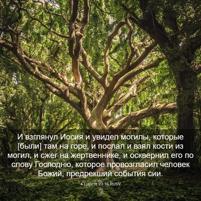 Picture 03 - 4 Царств 23:16 RUSV - И взглянул Иосия и увидел - Bible Verse Picture