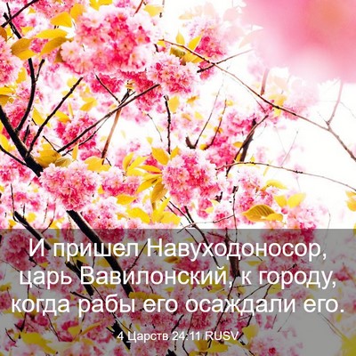 Picture 03 - 4 Царств 24:11 RUSV - И пришел Навуходоносор, - Bible Verse Picture