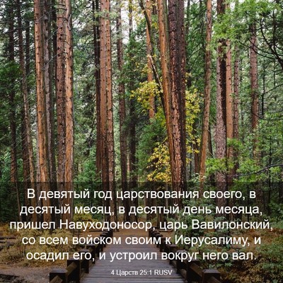 Picture 03 - 4 Царств 25:1 RUSV - В девятый год царствования - Bible Verse Picture