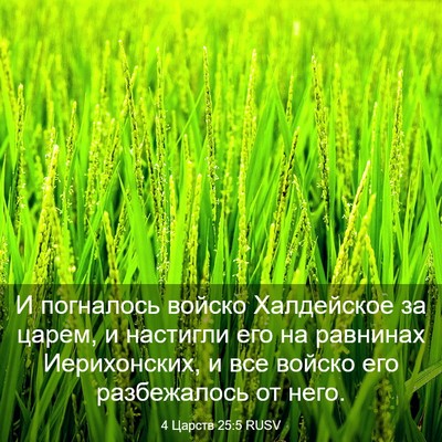 Picture 03 - 4 Царств 25:5 RUSV - И погналось войско - Bible Verse Picture