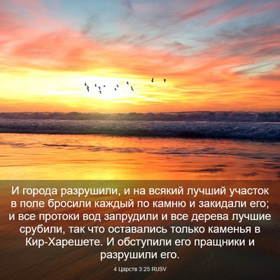 Picture 03 - 4 Царств 3:25 RUSV - И города разрушили, и на - Bible Verse Picture