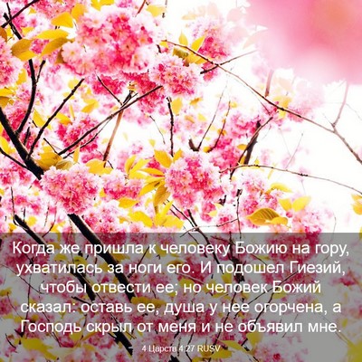 Picture 03 - 4 Царств 4:27 RUSV - Когда же пришла к человеку - Bible Verse Picture