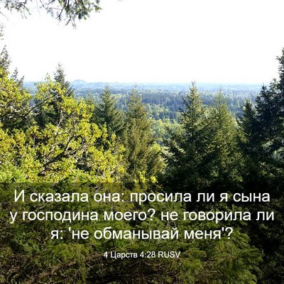 Picture 03 - 4 Царств 4:28 RUSV - И сказала она: просила ли я - Bible Verse Picture