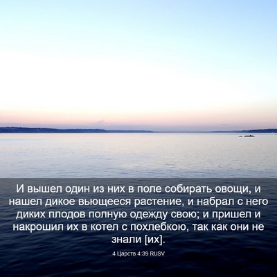 Picture 03 - 4 Царств 4:39 RUSV - И вышел один из них в поле - Bible Verse Picture