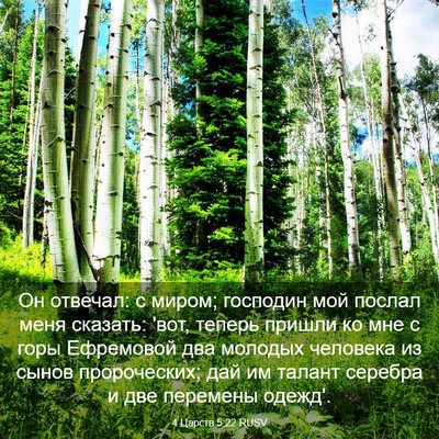 Picture 03 - 4 Царств 5:22 RUSV - Он отвечал: с миром; - Bible Verse Picture