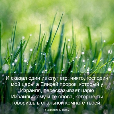 Picture 03 - 4 Царств 6:12 RUSV - И сказал один из слуг его: - Bible Verse Picture