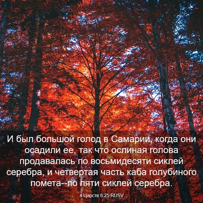 Picture 03 - 4 Царств 6:25 RUSV - И был большой голод в - Bible Verse Picture