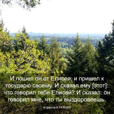 Picture 03 - 4 Царств 8:14 RUSV - И пошел он от Елисея, и - Bible Verse Picture