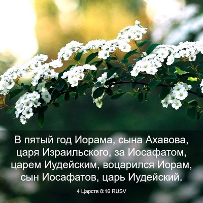Picture 03 - 4 Царств 8:16 RUSV - В пятый год Иорама, сына - Bible Verse Picture