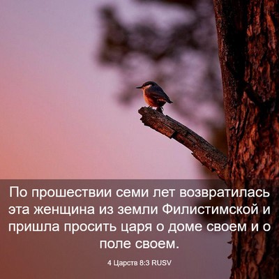 Picture 03 - 4 Царств 8:3 RUSV - По прошествии семи лет - Bible Verse Picture