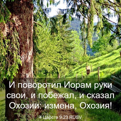 Picture 03 - 4 Царств 9:23 RUSV - И поворотил Иорам руки - Bible Verse Picture