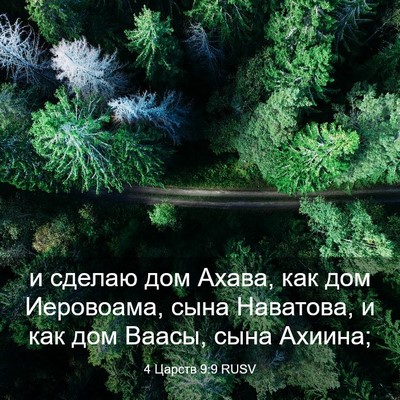Picture 03 - 4 Царств 9:9 RUSV - и сделаю дом Ахава, как дом - Bible Verse Picture