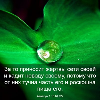 Picture 03 - Аввакум 1:16 RUSV - За то приносит жертвы сети - Bible Verse Picture