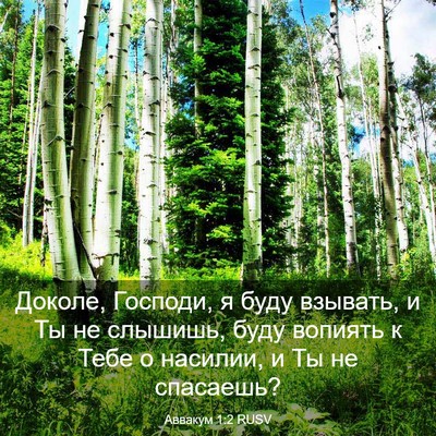 Picture 03 - Аввакум 1:2 RUSV - Доколе, Господи, я буду - Bible Verse Picture