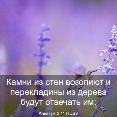 Picture 03 - Аввакум 2:11 RUSV - Камни из стен возопиют и - Bible Verse Picture