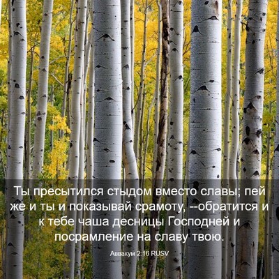 Picture 03 - Аввакум 2:16 RUSV - Ты пресытился стыдом - Bible Verse Picture