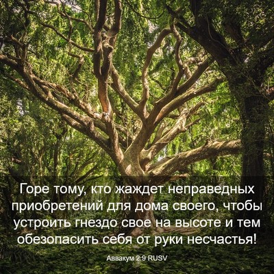 Picture 03 - Аввакум 2:9 RUSV - Горе тому, кто жаждет - Bible Verse Picture