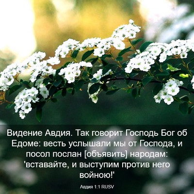 Picture 03 - Авдия 1:1 RUSV - Видение Авдия. Так говорит - Bible Verse Picture