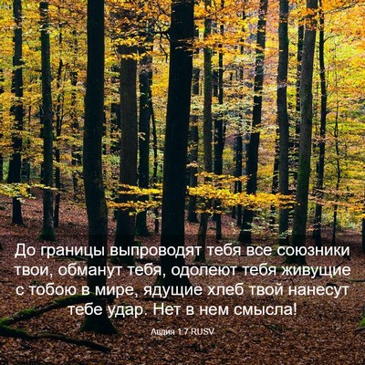 Picture 03 - Авдия 1:7 RUSV - До границы выпроводят тебя - Bible Verse Picture