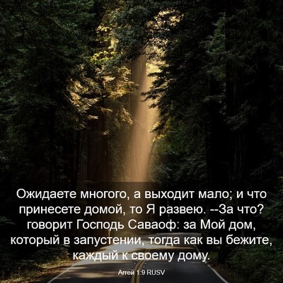 Picture 03 - Аггей 1:9 RUSV - Ожидаете многого, а - Bible Verse Picture