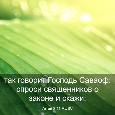 Picture 03 - Аггей 2:11 RUSV - так говорит Господь - Bible Verse Picture