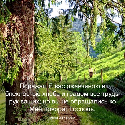 Picture 03 - Аггей 2:17 RUSV - Поражал Я вас ржавчиною и - Bible Verse Picture