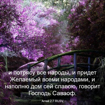 Picture 03 - Аггей 2:7 RUSV - и потрясу все народы, и - Bible Verse Picture